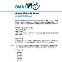 ILFORD IJロール紙 グロスフォトRCペーパー 200gsm 1270mmx30m ONQ5GP8 1本（直送品）