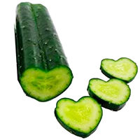 カネコ種苗 キュウリの型 デコきゅう ハート 830922 1箱(40個)（直送品）