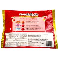 暑さ対策 塩分チャージ 紀州南高梅 アソートセレクション 24個入 1セット（1個×3）