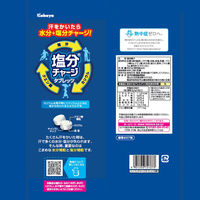 暑さ対策 塩分補給 塩分対策  塩分チャージタブレッツ BIG 650g 1セット（1個×3）