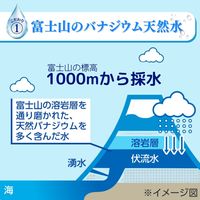 ペットの天然水 犬猫用 Vウォーター 国産 2L 1本 アース・ペット