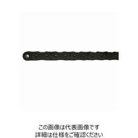 片山チエン スーパーローラーチェーン HKK160SUP-RPT 1個（直送品）