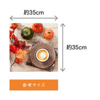 横浜ディスプレイミュージアム オータムベーシックコーディネートセットS ハロウィン SDAW-2030 1個（直送品）