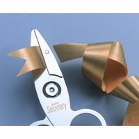 SB-9 ポケットセクレタリ　1本 アルスコーポレーション（直送品）