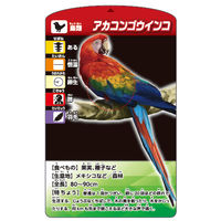 くもん出版 考える生きもの分類カードゲーム TS-10 1個