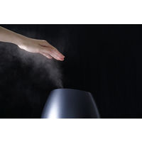 シロカ 5L加湿器 SD-C113AD 1台