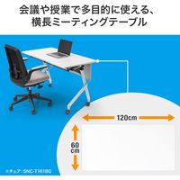 サンワサプライ フォールディングデスク(W1200xD600) FLD-12060W 1個（直送品）