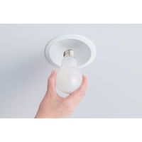 アイリスオーヤマ LEDシリカ電球 E26 全方向 80形 昼白色 LDA6N-G/W-8LW 1セット(24個入)（直送品）