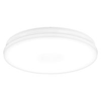 アイリスオーヤマ LED小型シーリングライト 薄形タイプ 2000lm 昼白色 SCL20N-U2 1個（直送品）