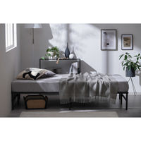 アイリスオーヤマ スチールベッド セミダブル 幅1200×奥行1950×高さ299mm ブラック 1台（直送品）