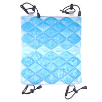 涼みま専科 背中クーラー 冷却用品 ひんやりグッズ リュック 繰り返し アイデア 1個