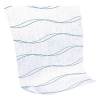 BSN medical GmbH フィクソムル スキンセンシティブ 5cm×5m 79965-01 1箱(1ロール)