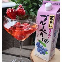 【アウトレット】東亜酒造 蔵出し まろやかブルーベリー酒 1000ml 1本