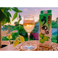 【アウトレット】東亜酒造 蔵出し まろやかうめ酒 1000ml 1セット（6本）