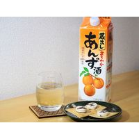 【アウトレット】東亜酒造 蔵出し まろやかあんず酒 1000ml 1セット（6本）