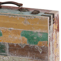 Habiter(アビテ) トランクボックス S ANE-601-AA 1個（直送品）