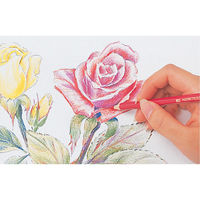 ファーバーカステル 水彩色鉛筆C 12色セット TFCC-WCP/12C 1個（直送品）