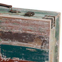 Habiter(アビテ) トランクボックス L ANE-602-AA 1個（直送品）