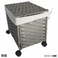 Habiter(アビテ) ストレージカート L FD-202-BR 1個（直送品）