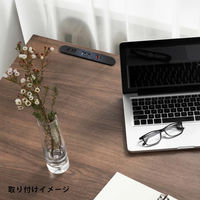 サンズマーケット コンセント2つ口 ブラック st-c2ac-2 1個（直送品）