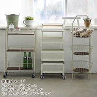 Habiter(アビテ) ピヴォ・トローリーラック ZK-901-IV 1個（直送品）