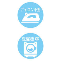 サンスター文具 タグに貼れるなまえシール すみっコぐらし 2341254A 1セット(1枚×10)（直送品）