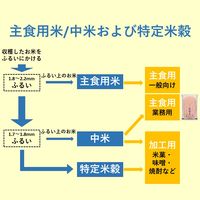 国産ブレンド米　こめ米まい　10kg　1袋　精白米　東日本農産