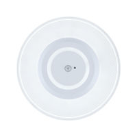 アイリスオーヤマ 小型シーリングライト 導光板 950lm 昼光色 人感センサー付 SCL95D-MS-P 1台