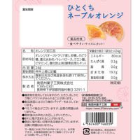 ドライフルール　食べきりサイズ ひとくちネーブルオレンジ　24g 1セット（1個×12）