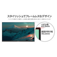 JAPANNEXT 24インチ 液晶ディスプレイ JN-IPS24WX-HSP 1台（直送品）