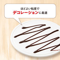 片岡物産 バンホーテン チョコレートシロップ 1個（630g）