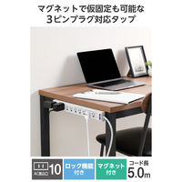延長コード 電源タップ 3ピン 10個口 5m 雷ガード コード側5口一括スイッチ T-T05-31050LGRS エレコム 1個（直送品）