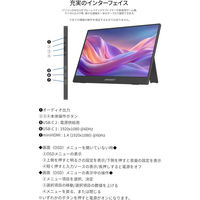 JAPANNEXT 13.3インチ ワイド モバイルディスプレイ JN-MD-IPS133F 1台（直送品）