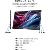 JAPANNEXT 15.6インチ ワイド モバイルディスプレイ JN-MD-IPS156F3 1台（直送品）