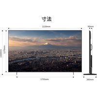 JAPANNEXT 100インチ ワイド4K液晶ディスプレイ 車上渡し製品 2年保証 JN-V100U-M 1台（直送品）