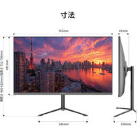 JAPANNEXT 31.5インチ ワイド4K液晶ディスプレイ JN-V315U2-HSP 1台（直送品）