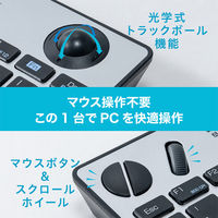 ナカバヤシ 無線 トラックボール搭載キーボード シルバー FKB-R252SL 1個（直送品）