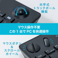 ナカバヤシ 無線 トラックボール搭載キーボード ブラック FKB-R252BK 1個（直送品）