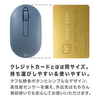 ナカバヤシ 無線静音 カードサイズマウス 3ボタン BlueLED ブルー MUS-RKT246BL 1個（直送品）