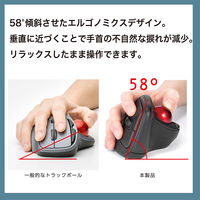 ナカバヤシ 無線静音 エルゴノミクストラックボールマウス 5ボタン 光学式 ブラック MUS-TRKF248BK 1個（直送品）