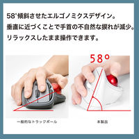 ナカバヤシ 無線静音 エルゴノミクストラックボールマウス 5ボタン 光学式 ホワイト MUS-TRKF248W 1個（直送品）