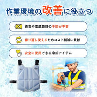 グリーンクロス PCM 冷感ベスト 暑さ対策 6300093004 1着（直送品）