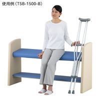 アズワン 立ったまま座るベンチ(スベラーン)700×460×800mm ブルー TSB-700-B 1台 9-1603-02（直送品）