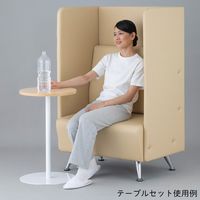 アズワン プライベートロビーベンチ アイボリー PLB-800IV 1個 8-925-07（直送品）