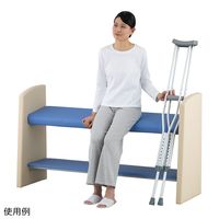 アズワン 立ったまま座るベンチ(スベラーン)1500×460×800mm ブルー TSB-1500-B 1台 9-1604-02（直送品）