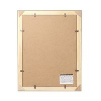 ハクバ写真産業 ハクバ 肖像額縁 入山 太子判サイズ 無反射PET FWIY-TBP 1個 68-5154-60（直送品）