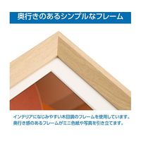 ハクバ写真産業 ミニ色紙額 ナチュラル FWMSG-01NT 1個 65-8888-44（直送品）