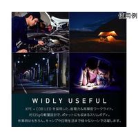 Trimate 充電式 LEDワークライト ハンドライト ランタン 底面マグネット フック付き TR-WL010 1個 67-4921-77（直送品）