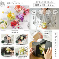 大河商事 透明感あふれるプリザーブドフラワー ルビーレッド bon030_rd 1個（直送品）