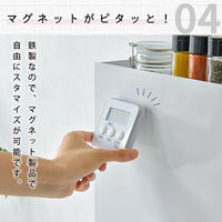 大河商事 Pitally スリム調味料ストッカー 2段式 幅10cm コンロ横収納 Pitally002 1台（直送品）